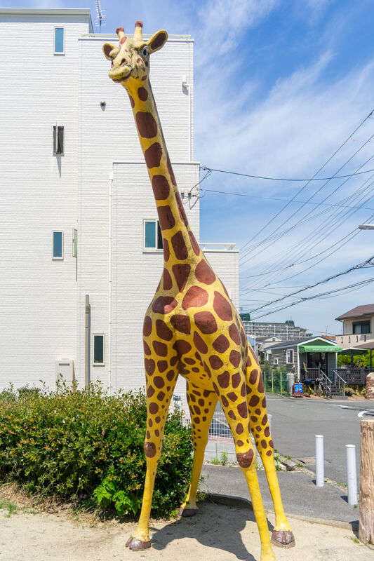 きりん-2106072