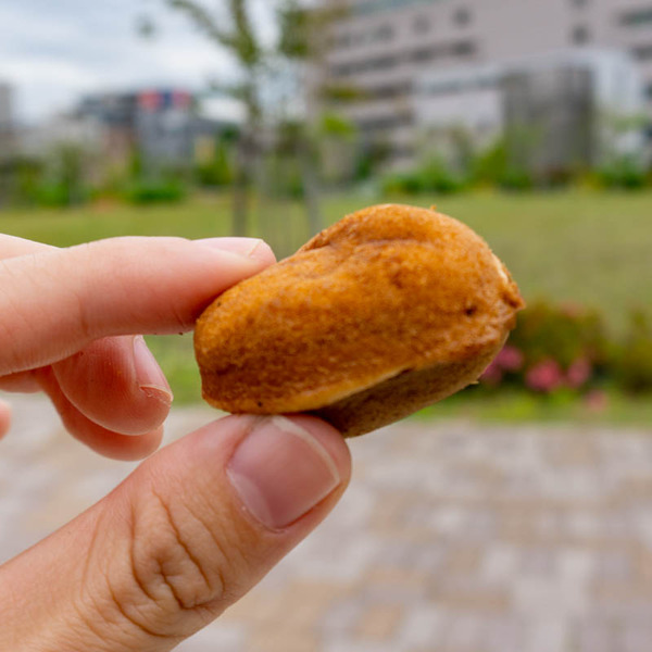 金田町きむら(小)2105185