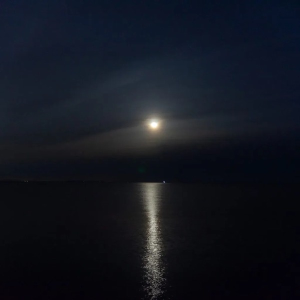 91e5eead8c0d1a733091d2d5ee8c273c