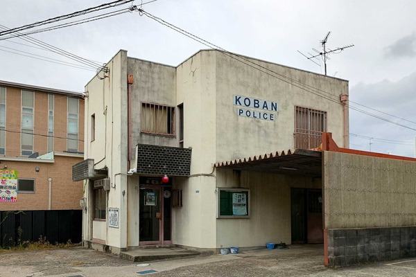 IMG_20251118_113931515_HDR