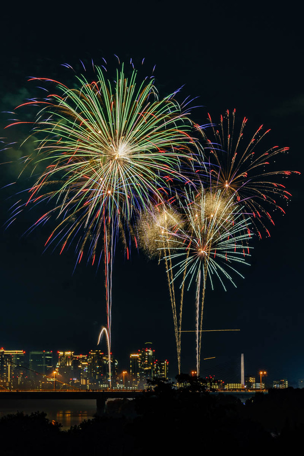 ひがよど🎆-24100627