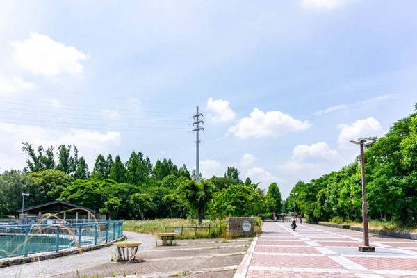 世木公園釣り池(小)2106156