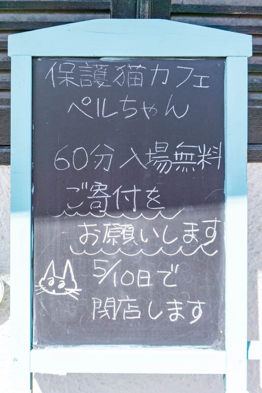 ペルちゃん(小)2104262