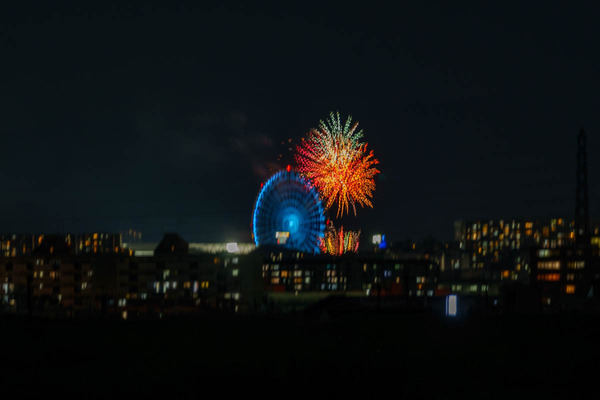 ドリカム花火-2508025