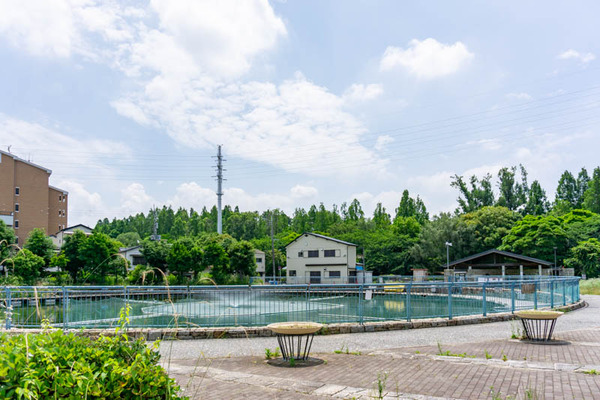 世木公園釣り池(小)2106153