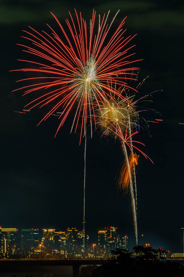 ひがよど🎆-24100613