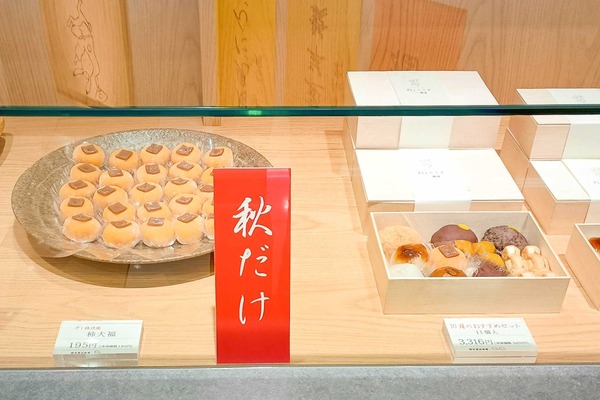 IMG_20251002_094258376_HDR