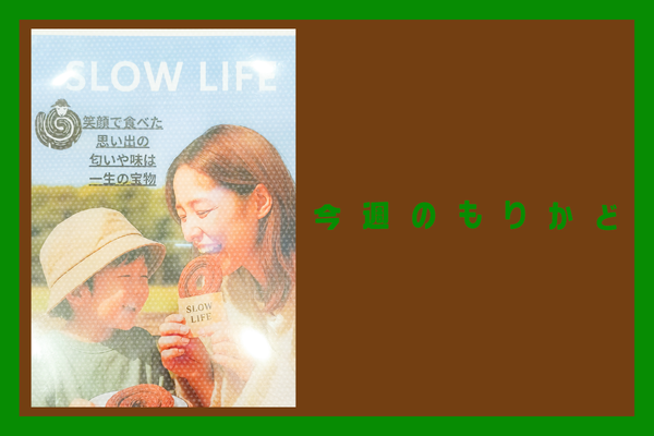 2_20260227_001534_0001