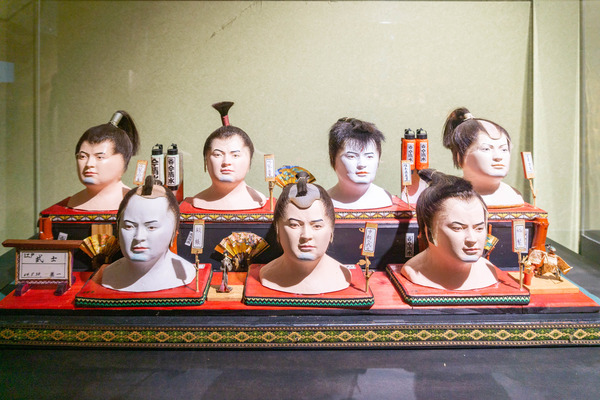 海洋堂ホビーランド（大）21062529