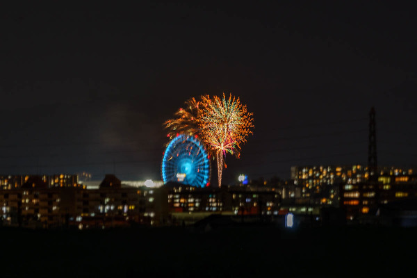 ドリカム花火-2508023