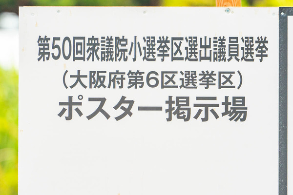 衆議院選挙-2410161