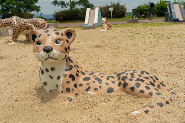 チーター-2406222