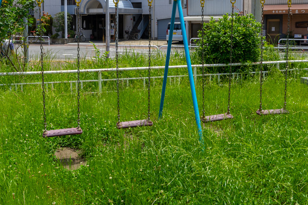 草ボーボー-2105254