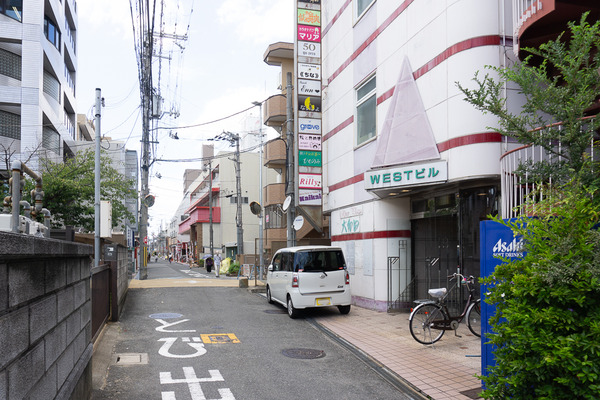 桜とたぬき 20240827-3