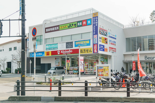 ベアーズ大日イオン側コレクション10