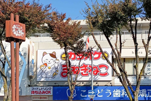 IMG_20251108_135302296