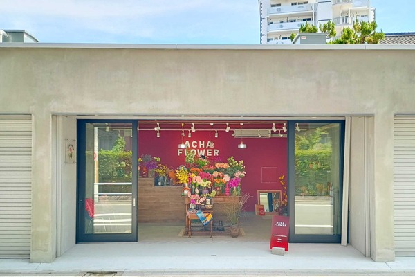 IMG_20251008_114649982_HDR