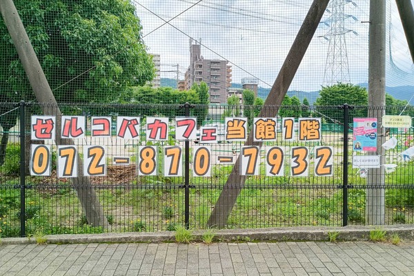 IMG_20250612_103726803_HDR