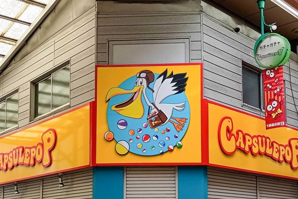 IMG_20251113_113627011