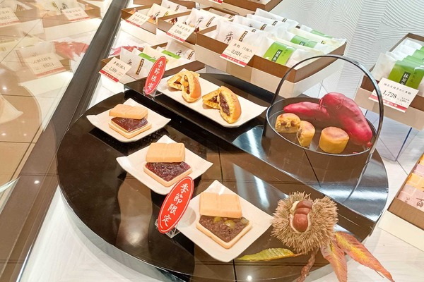 IMG_20251002_094445476_HDR