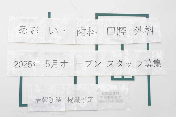 IMG_20250211_151608716_AE