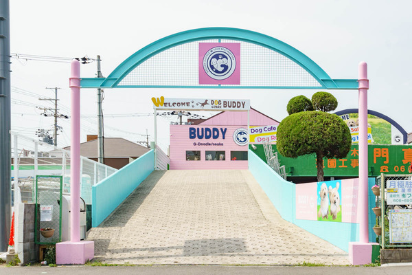 202305BUDDY-3