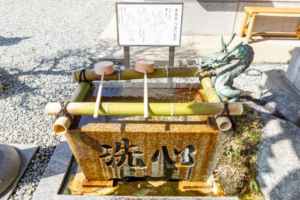 萱島のクスノキ(小)2103249