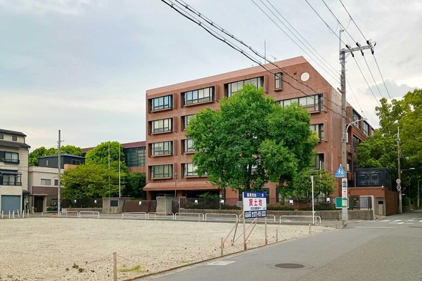 IMG_20250809_165653353_HDR