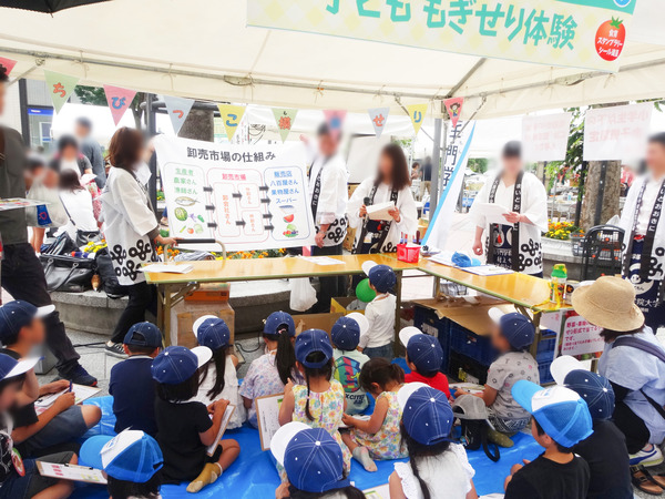 もぎせり体験