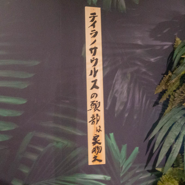 海洋堂ホビーランド(小)21062582