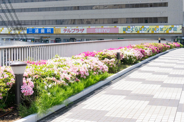 ツツジ守口市駅前(小)2104211-2