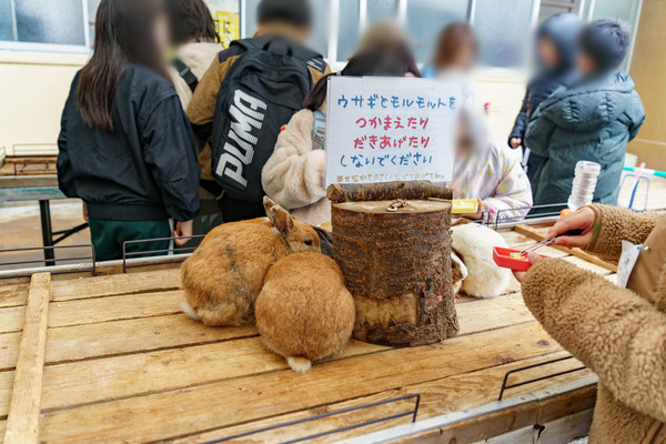 0324下島小学校-6