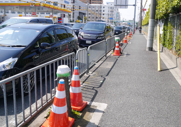 切り株10兄弟 2021年3月-1