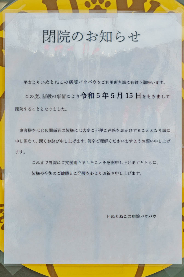 0615バウバウ-1