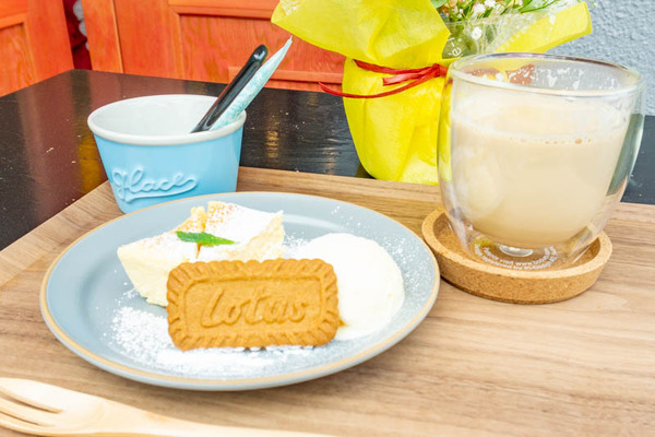 ハレトクモリ（小）21041335