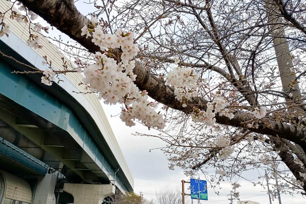IMG_20250328_143520230_HDR (1)
