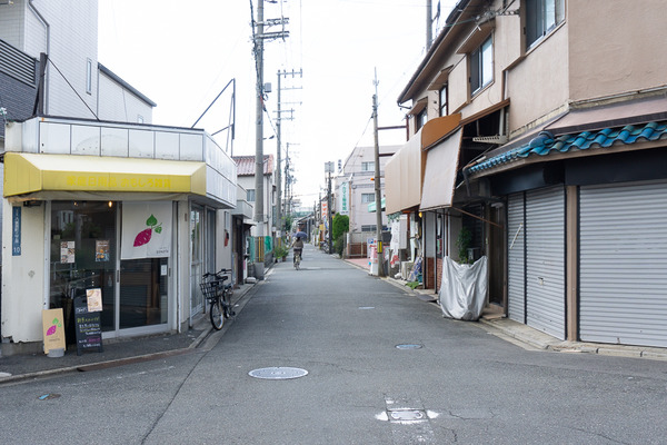 SONOTA 20240912-1