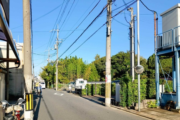 IMG_20251017_075545953