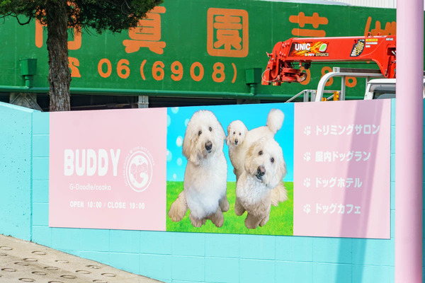 202305BUDDY-5