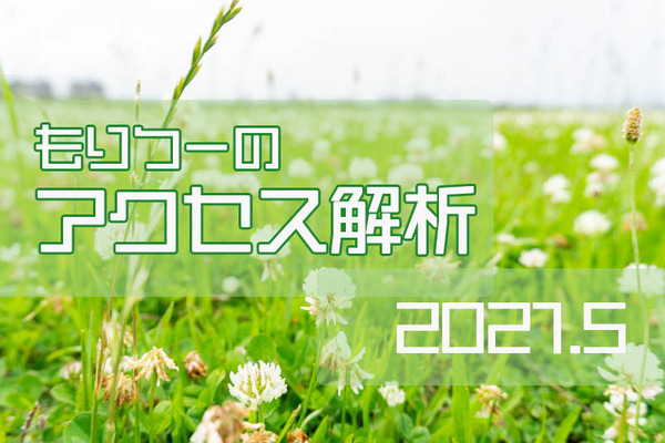 アクセス解析