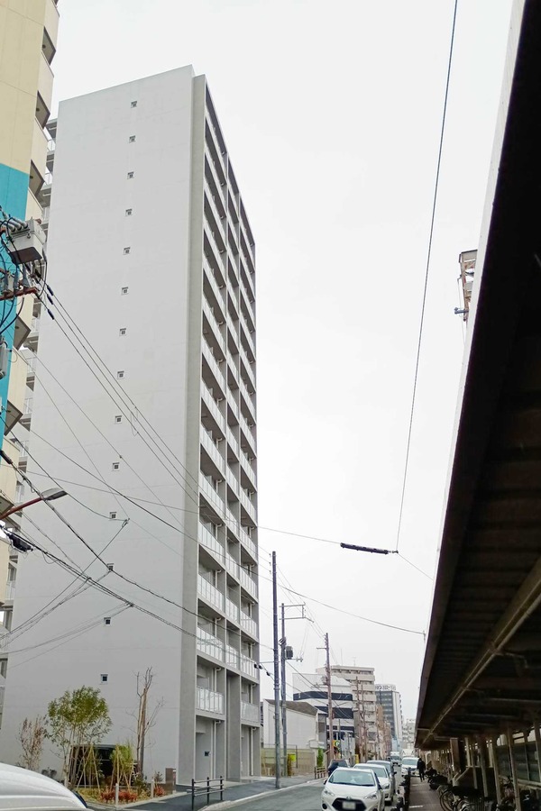 IMG_20250402_134617264