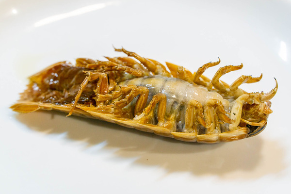 宝雪酒坊-23020929