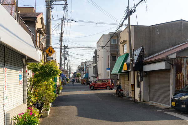 ねこ研究所-2110082
