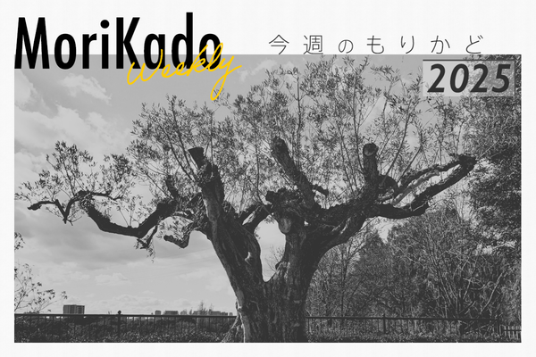 門真のイズミヤの閉館が決まったり、世界一長い“守口だいこん” の漬け込み作業が岐阜県ではじまってたり【今週のもりかど】