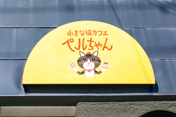 ペルちゃん(小)2104265