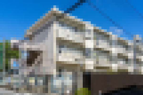 農業祭り-2212034