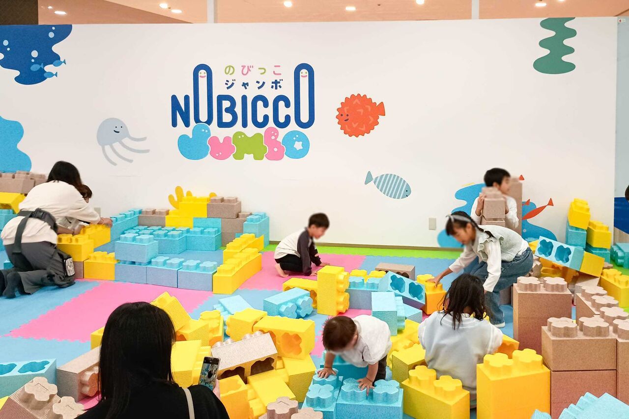 IMG_20251108_111144248 (2)