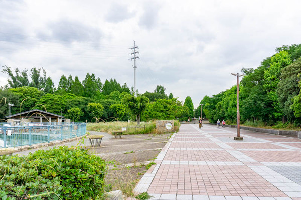 世木公園釣り池(小)2106284