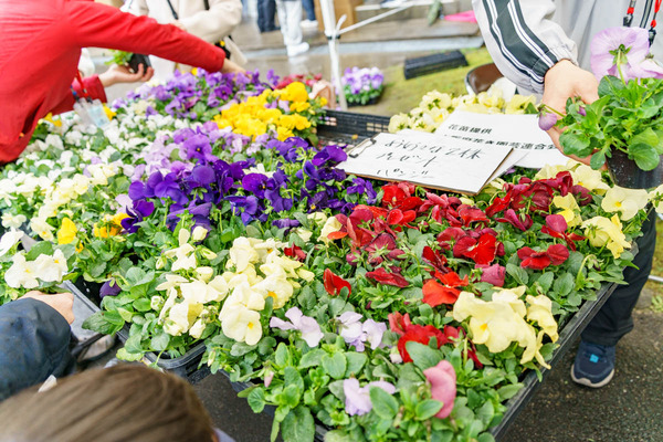 0324下島小学校-4