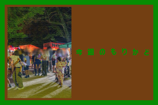 今週のもりかどのコピー